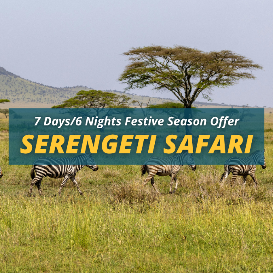 Exclusive Serengeti Festive Season Tanzania Safari – 7 Days/6 Nights
